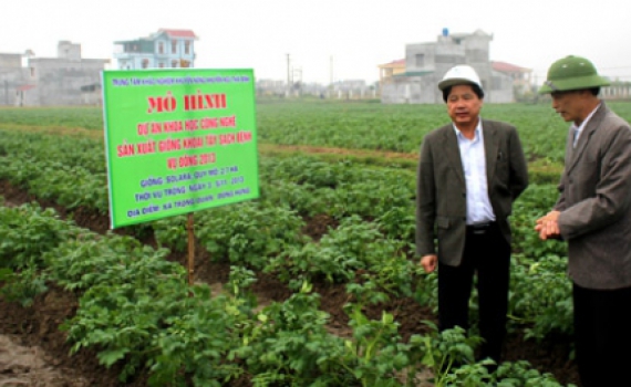 Kiểm tra sản xuất vụ đ&ocirc;ng tại một số địa phương trong tỉnh

